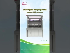 Bangku Sampling Patologis